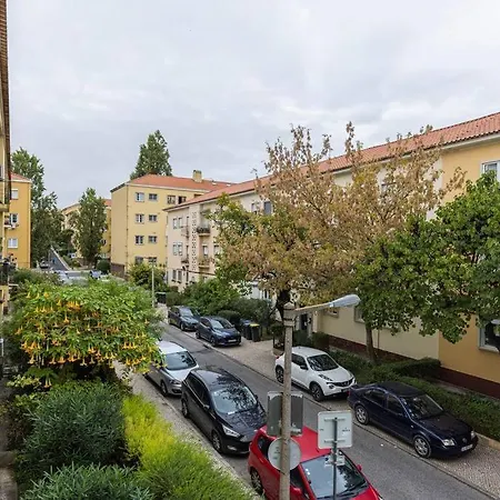 Charming Alvalade, In Prestigious Area Of Lisboa. * Lisboa
