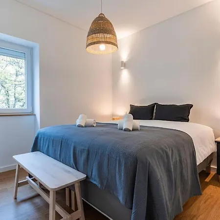 Charming Alvalade, In Prestigious Area Of Lisboa. Appartement